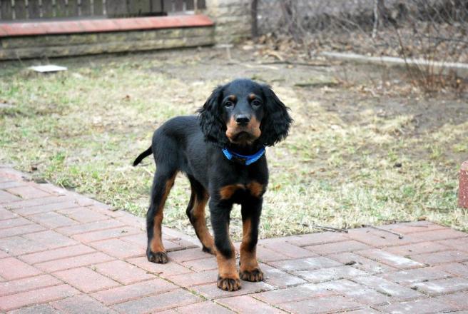 64113_3543370788861_707347034_n