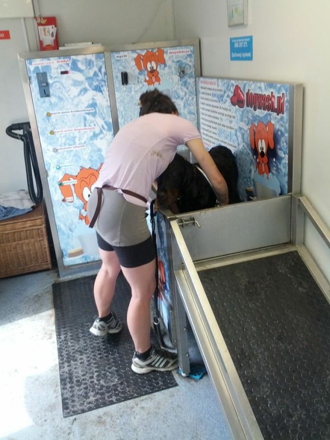 3TQY2NOtcZfL4bggFNVP2mXrWRZJloZjaI32Yxt9Uaw