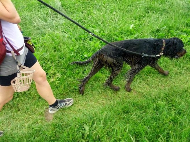 psa1LOCESnduoxJrZAQ3g8INX9_x-r2rMew9jWIAZrs