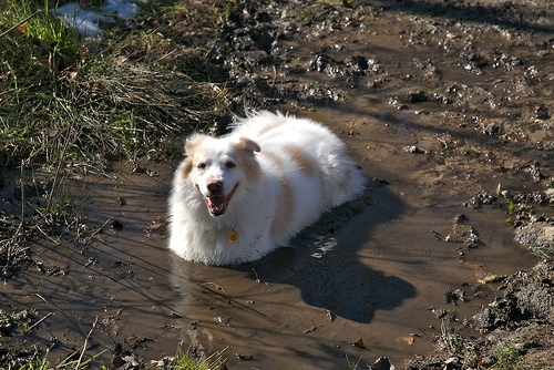 317339212_af40508e8c