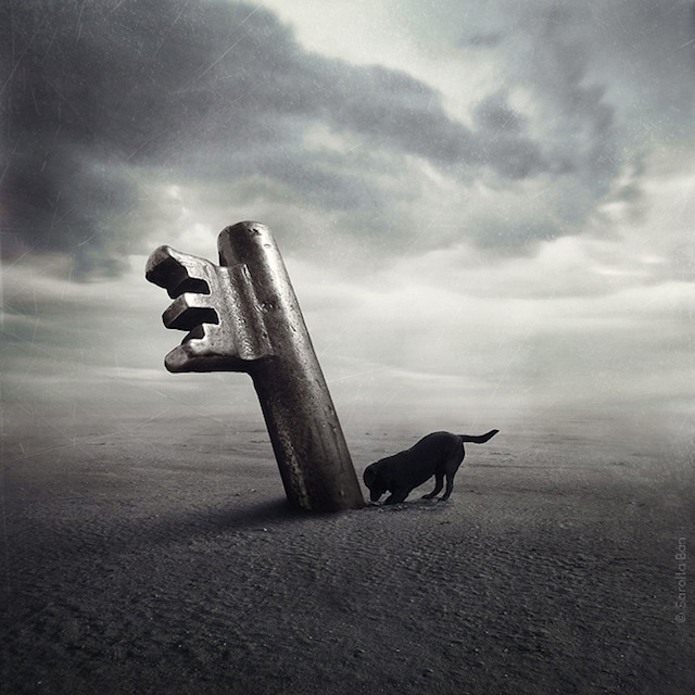 surreal_shelter_dog_photos_Sarolta_Ban_09