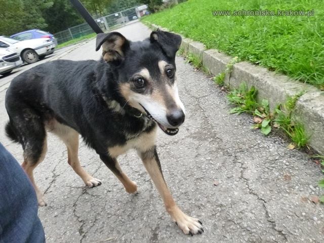 10806489_10152818298744799_2881878147495665877_n