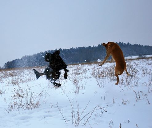 422286_10200471138566903_1527315178_n