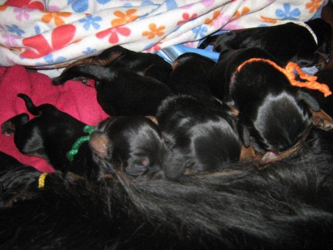 75981_416722495016303_52681094_n