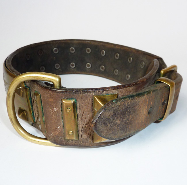 rare antique victorian brass and leather dog collars