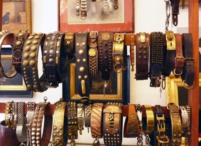 COLLARS-2BSMALL-700x510