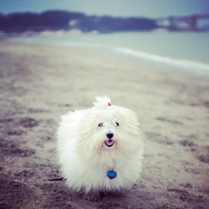 tumblr_n1xjg0PDvK1slm9b6o1_1280