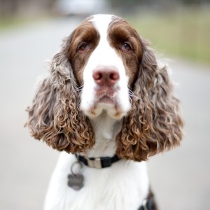 tumblr_n3tkvbAXee1slm9b6o1_1280