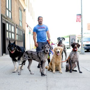 tumblr_n7qc81ksHE1slm9b6o1_1280