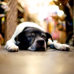 tumblr_na43vwjZvO1slm9b6o1_1280