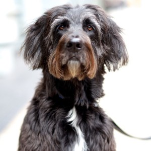 tumblr_ng4h54CMiA1slm9b6o1_1280