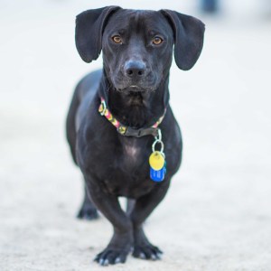 tumblr_nhnzyaGANy1slm9b6o1_1280