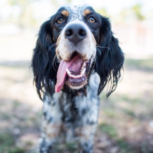 tumblr_nn7vs8SPoS1slm9b6o1_1280