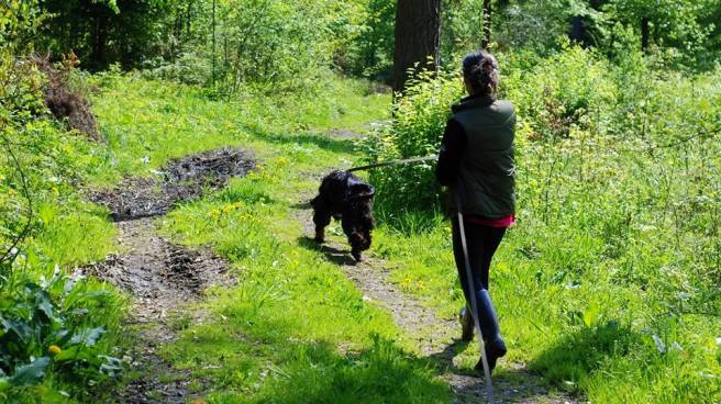 Akademia Psa Pracującego
