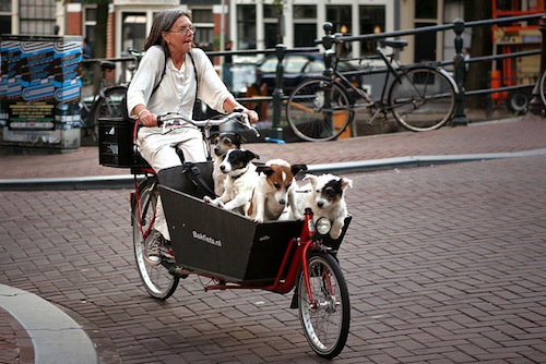 Amsterdam bikes