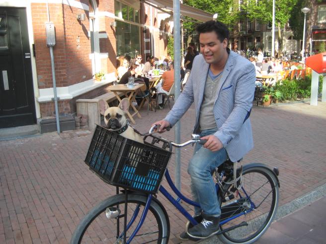 dogs in amsterdam