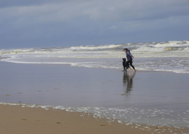 Noordwijk Dog Beach