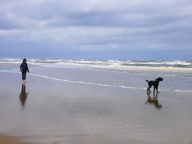 Noordwijk dog beach