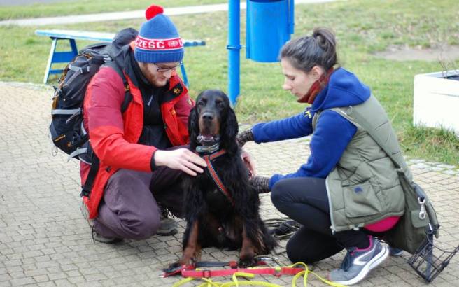 1462914_1089572447741945_6069570365742324452_n