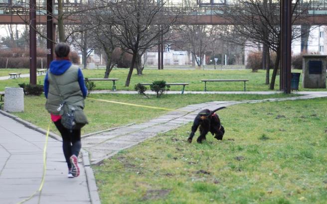 3064_1089573307741859_7029634541937363922_n