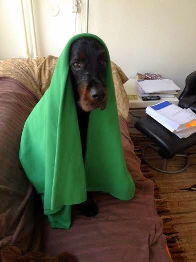 d1200858-2107-48bb-b26f-27df365081b9