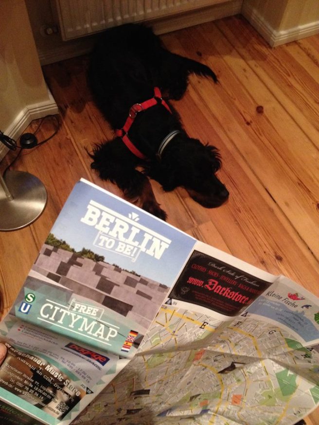 535224_1029877517034128_9084782625719187967_n