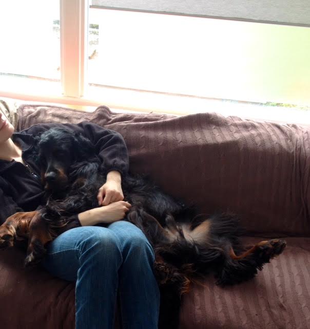 a0a67b04-dbc2-4fbf-b878-71b5e2ad8369.npg