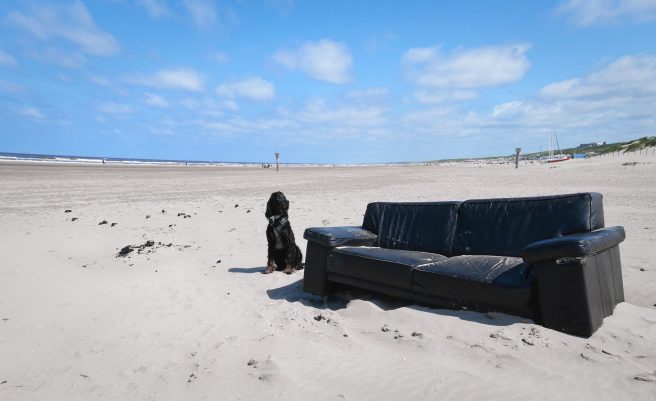 13416819_1129402750414937_3443078034316762756_o