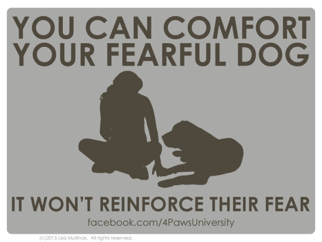 11162455_10153256360572070_8507656521156302686_n