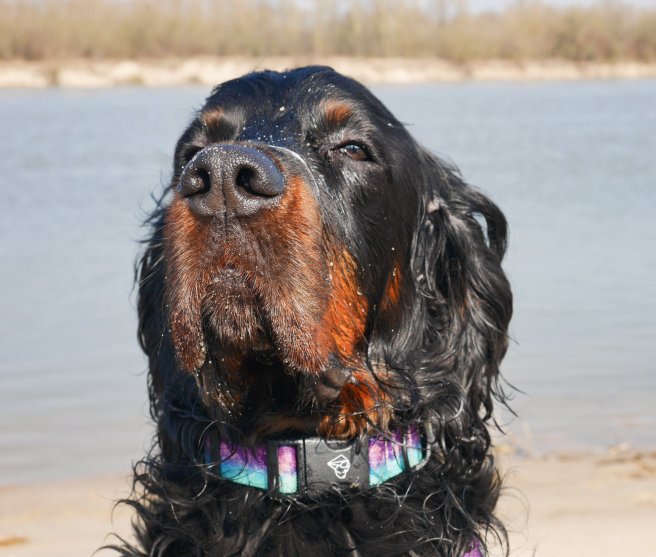 28947877_1766828293339043_2638293530103664959_o